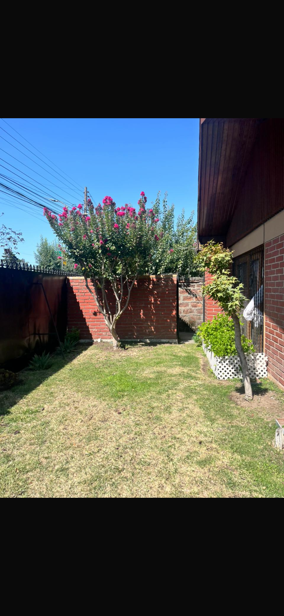 Jardines y áreas verdes